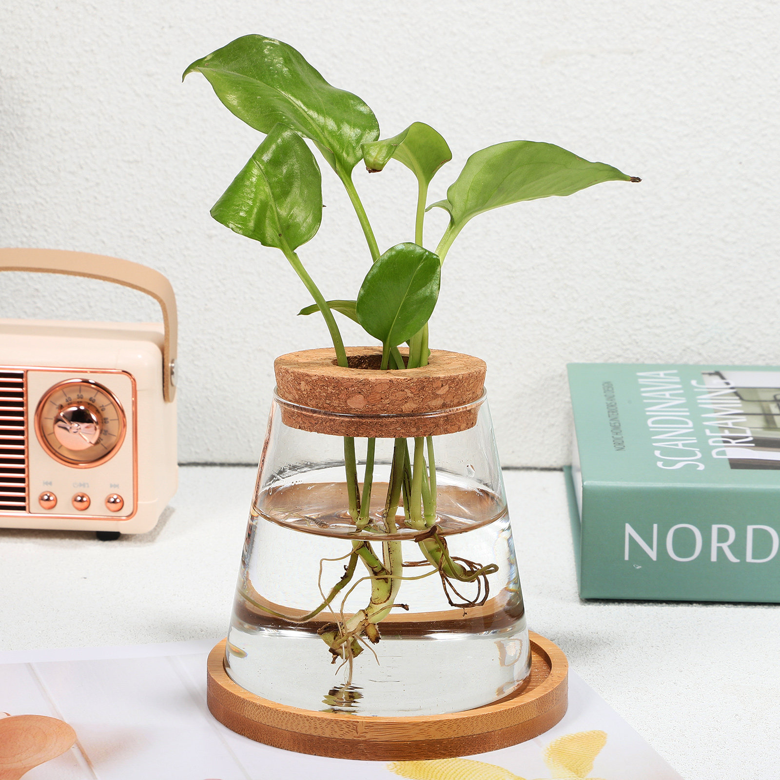 Propagation Station Vase - 2Pcs Water Planters Glass Propagation Station