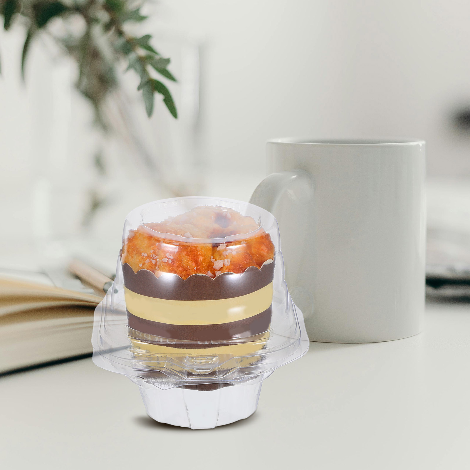 Plastic Dome Clear - 50Pcs Individual Cupcake Containers Clear Plastic