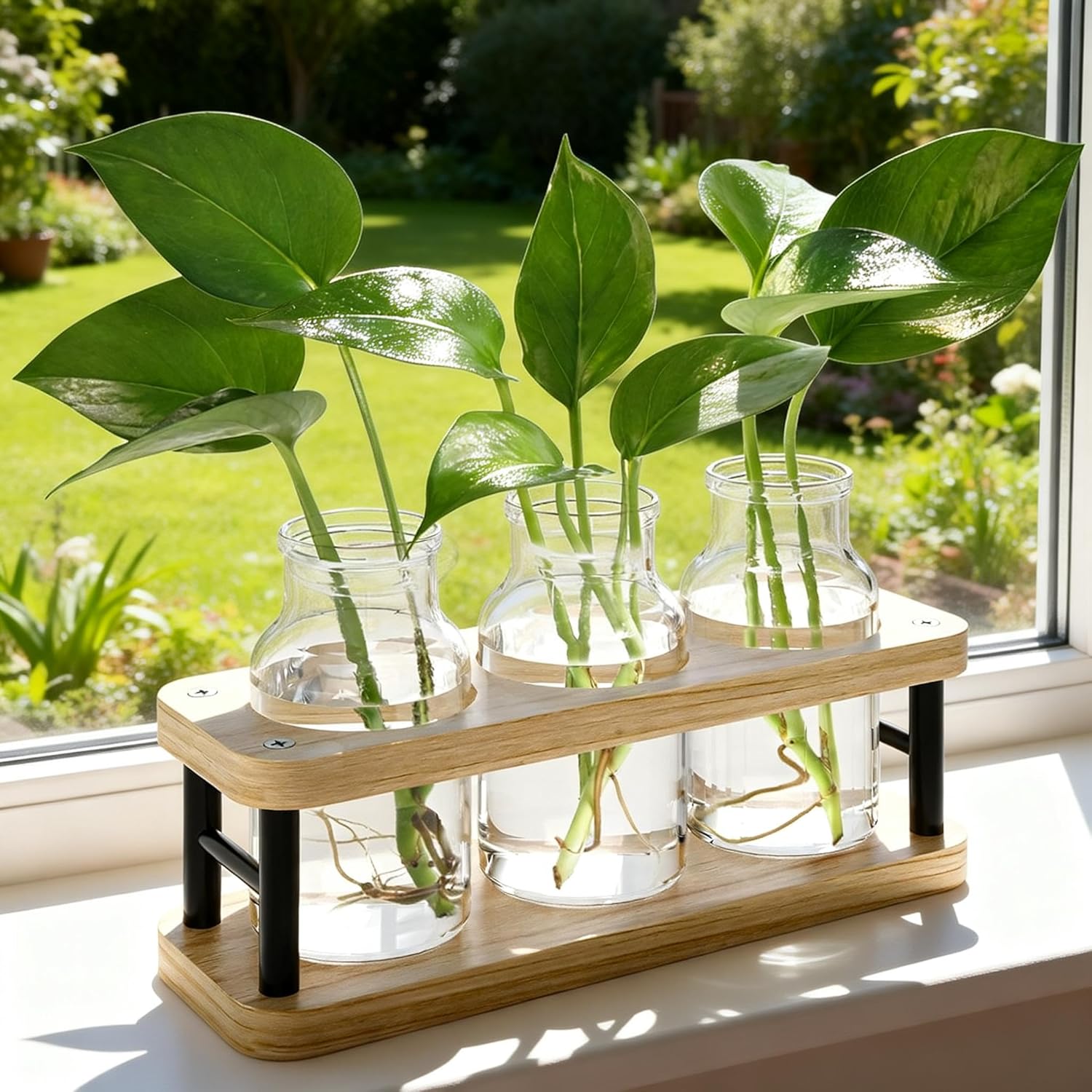 Propagation Station Vase - Propagation Station with Wooden Stand, 3