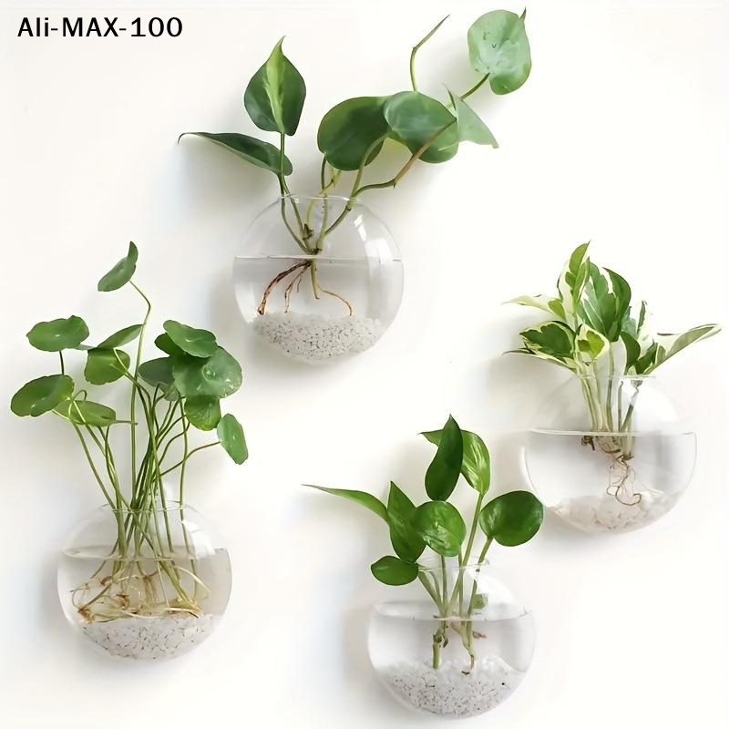 Propagation Station Vase - 【MA3】Wall Hanging Glass Plant Terrarium Container