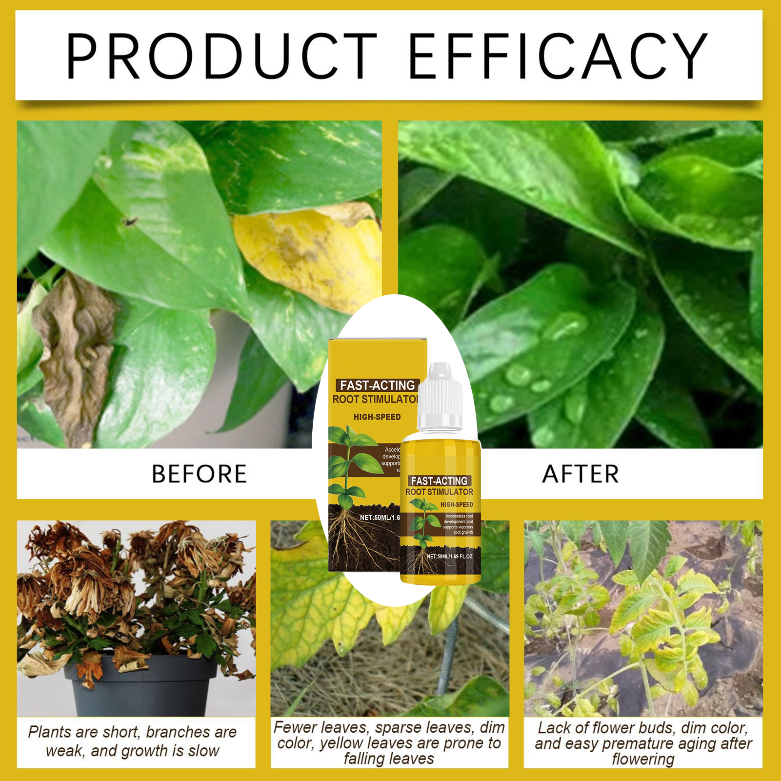 Root Booster For Plants Natura - Root Stimulator Liquid ulasan dan harga