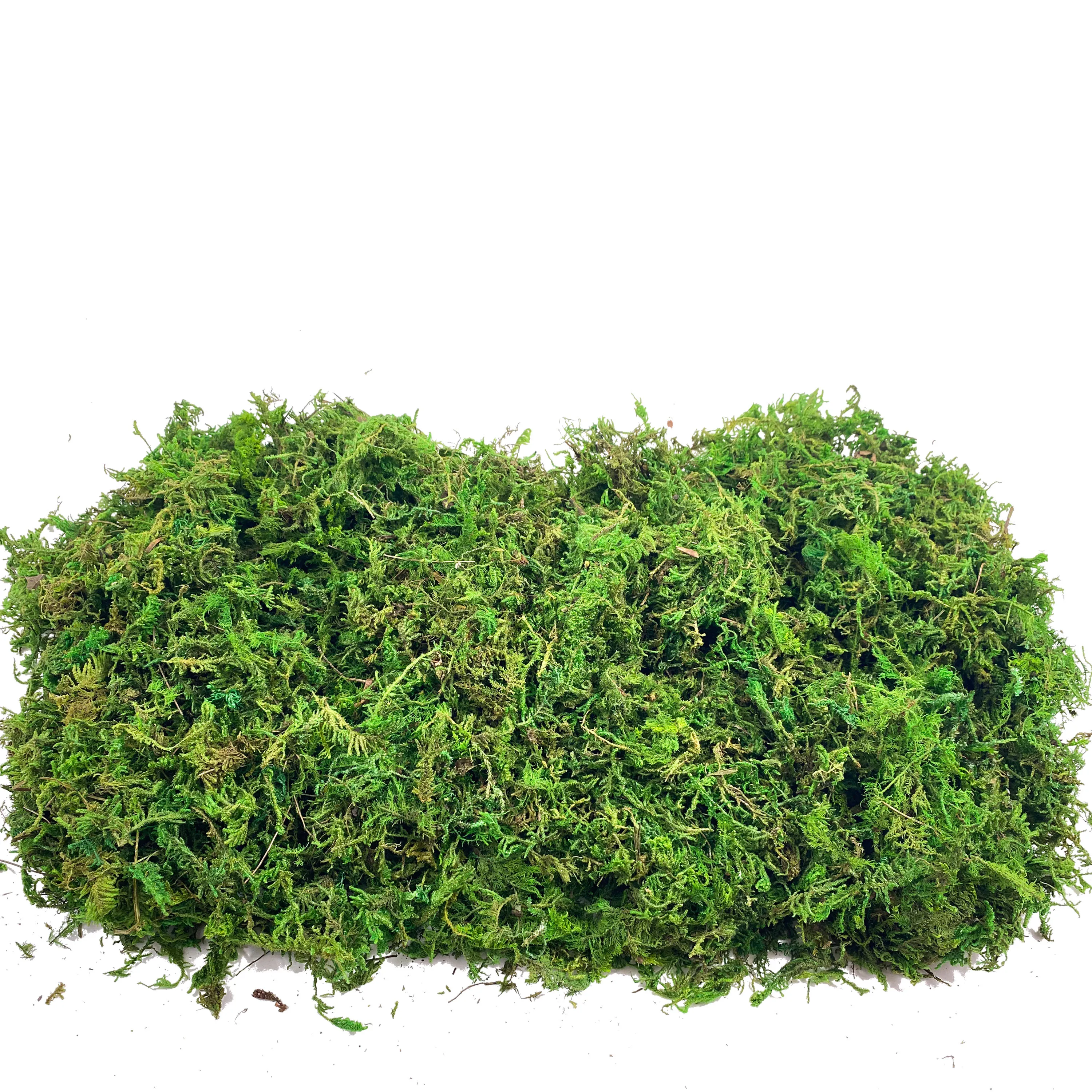 Fake Moss Artificial Moss for  - Sphagnum Moss Dry ulasan dan harga