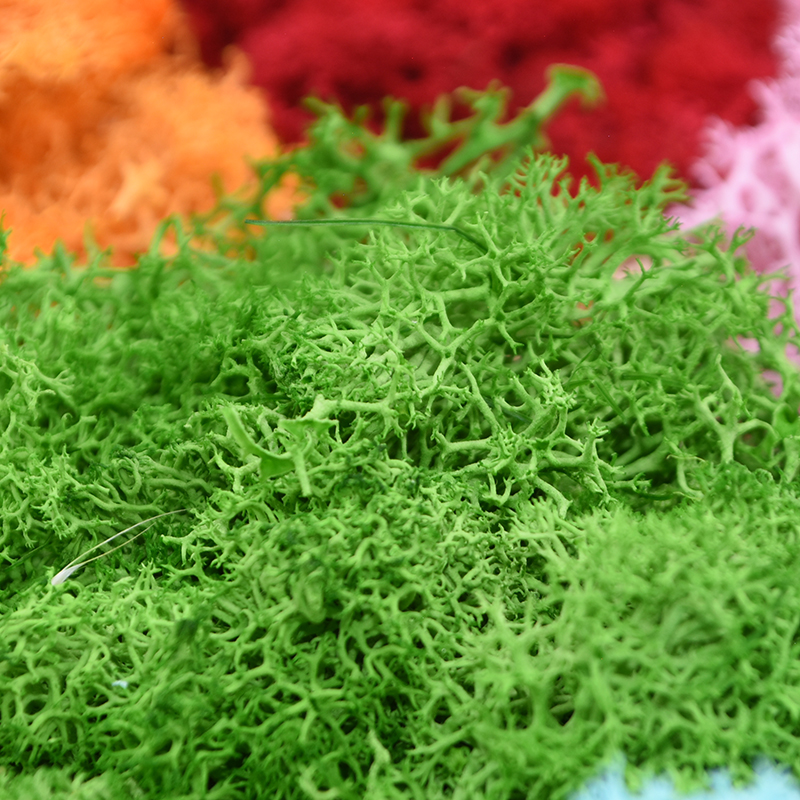 20/40g Artificial Green Plants - Sphagnum Moss Dry ulasan dan harga
