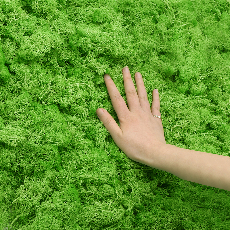 20/40g Artificial Green Plants - Sphagnum Moss Dry ulasan dan harga