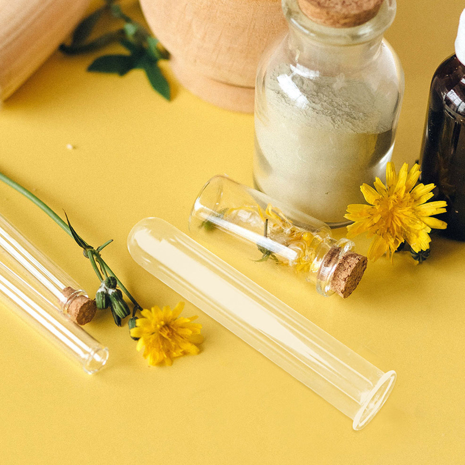 5Pcs Glass Test Tube Vase for  - Propagation Station Vase ulasan dan harga