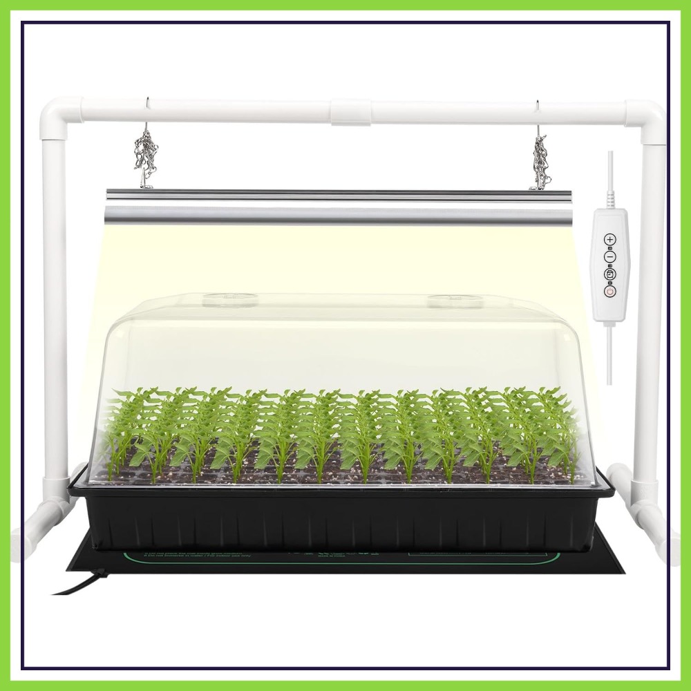 1020 Size Seed Starter Kit wit - Humidity Dome Kit ulasan dan harga