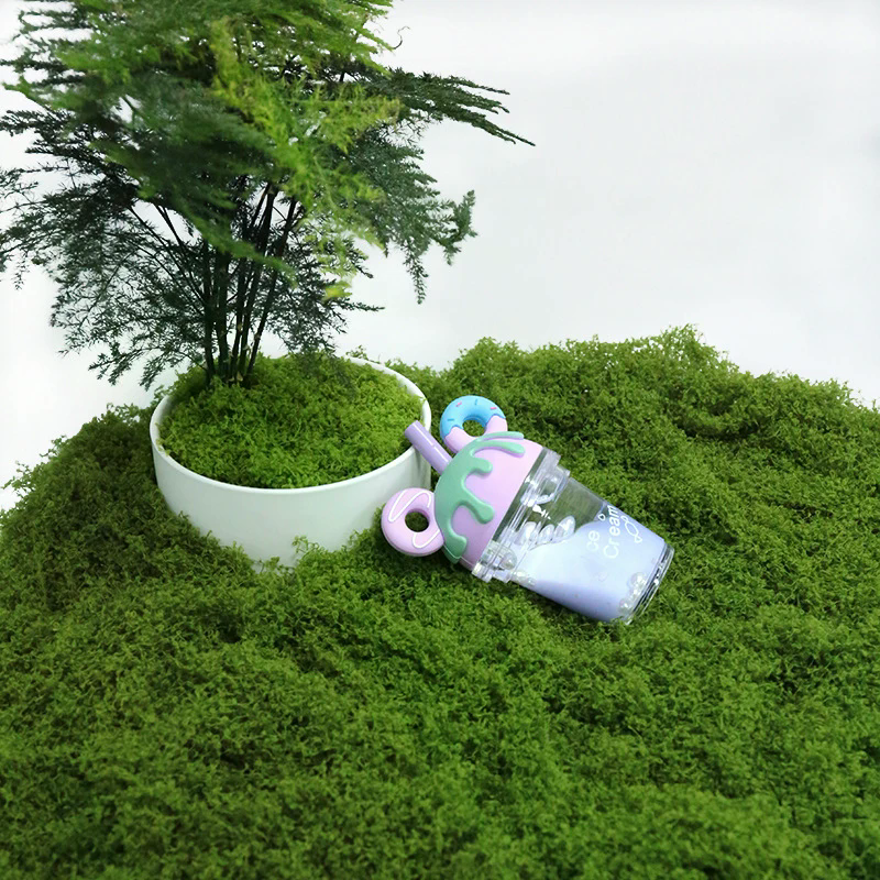 50g Fake Moss DIY Crafts Grass - Sphagnum Moss Dry ulasan dan harga