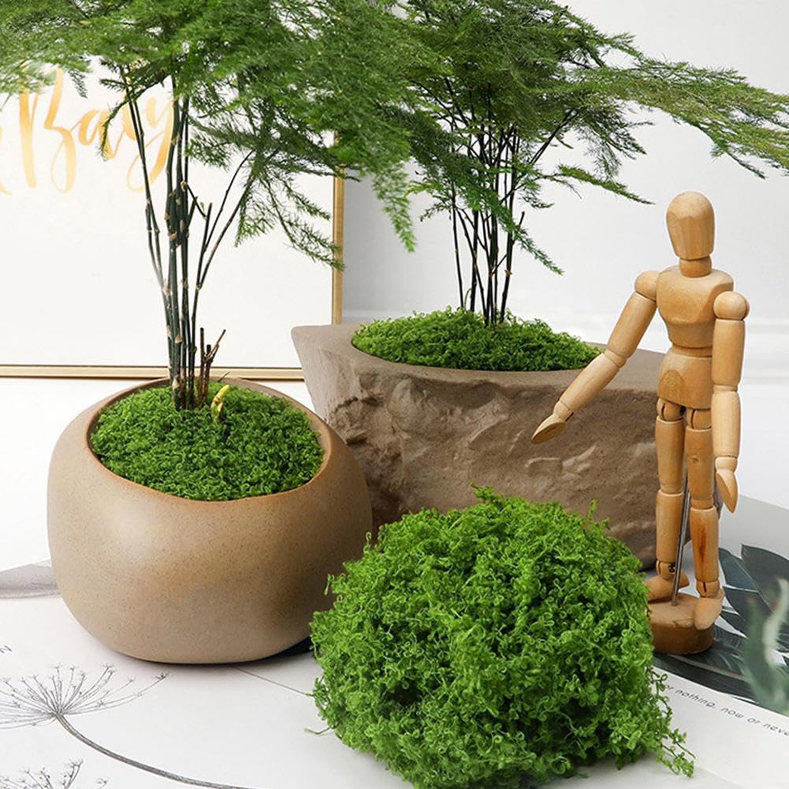 50/200g Artificial Moss For De - Sphagnum Moss Dry ulasan dan harga
