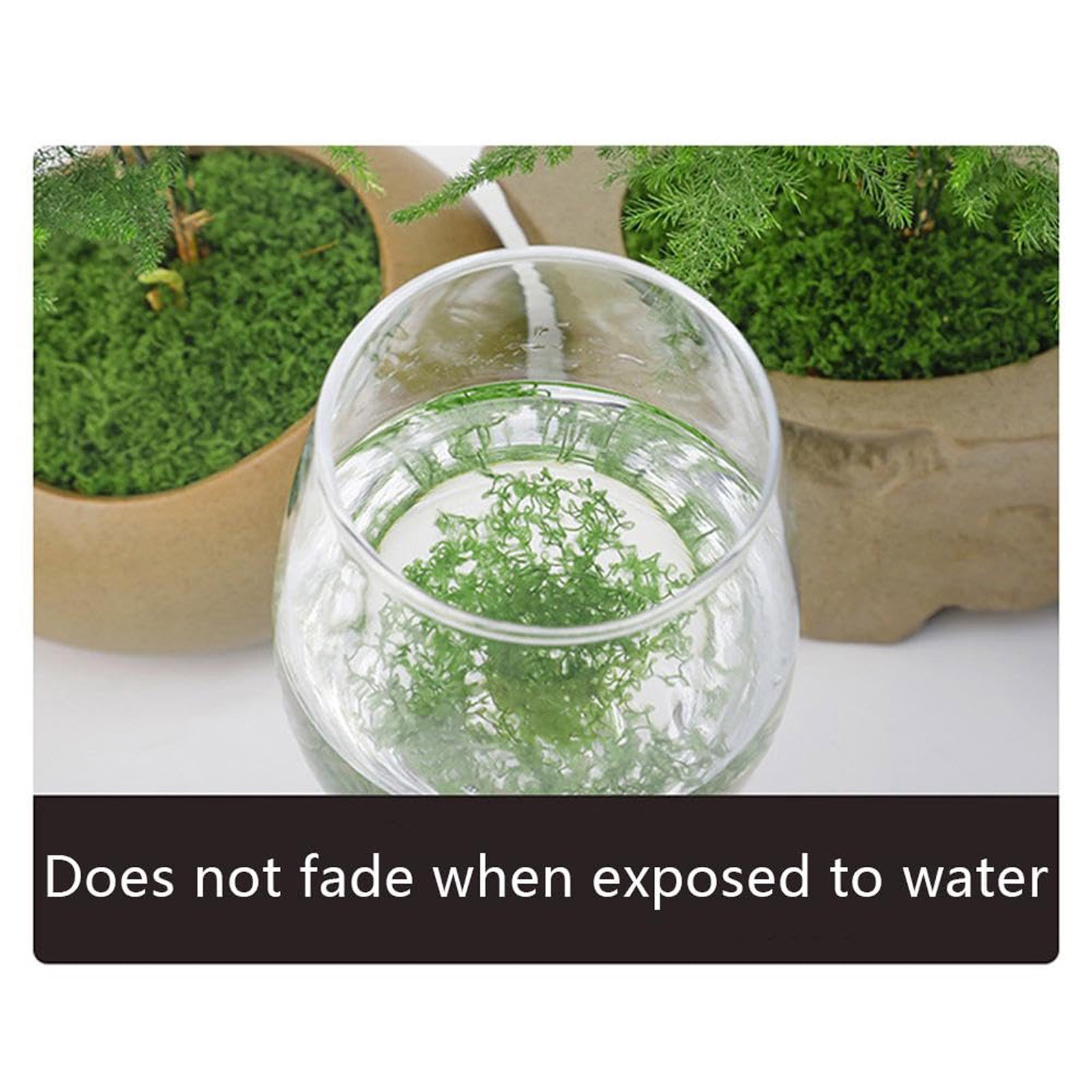 50/200g Artificial Moss For De - Sphagnum Moss Dry ulasan dan harga