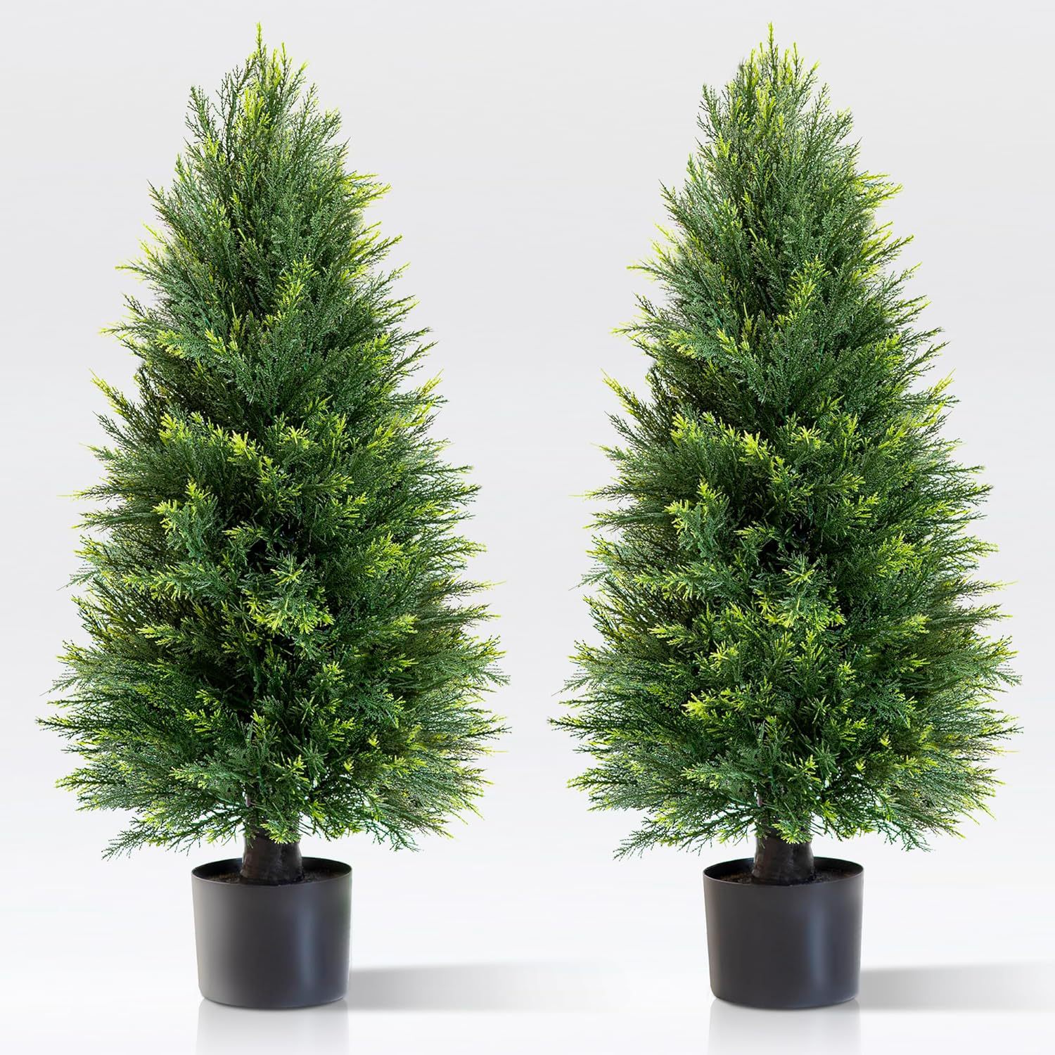Simulation Pine And Cypress Po - Sphagnum Moss Dry ulasan dan harga