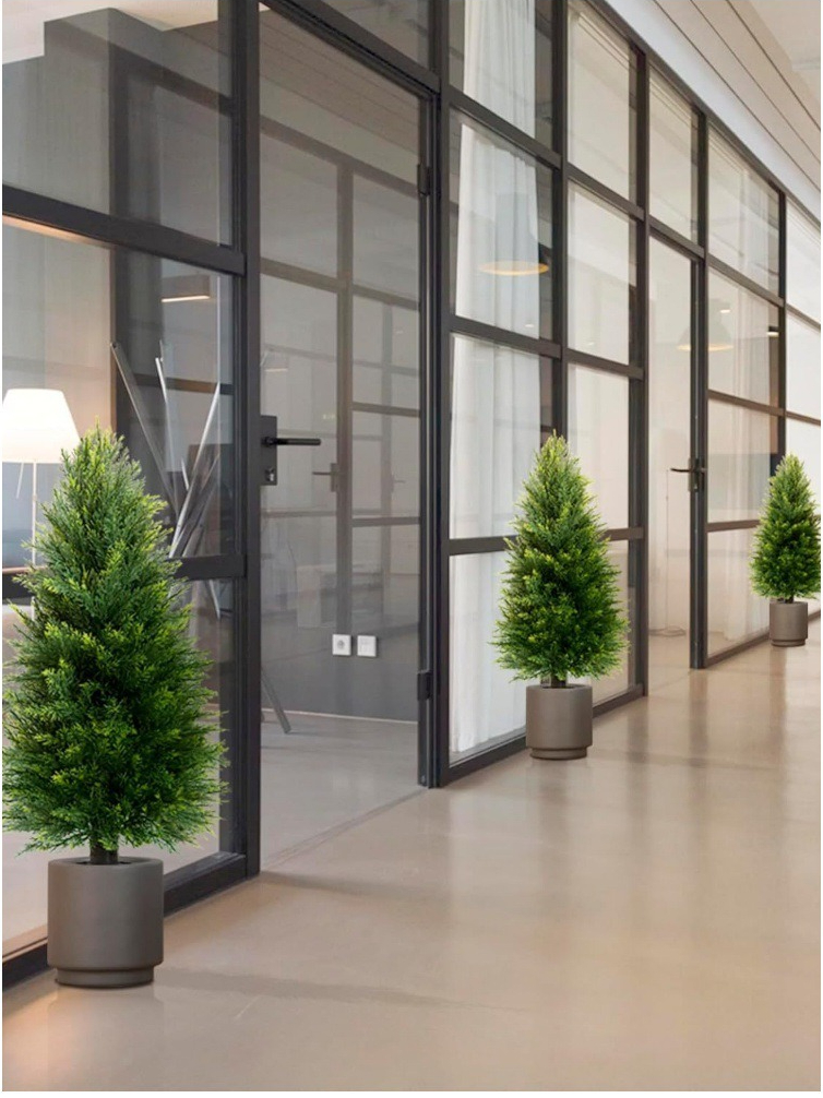 Simulation Pine And Cypress Po - Sphagnum Moss Dry ulasan dan harga