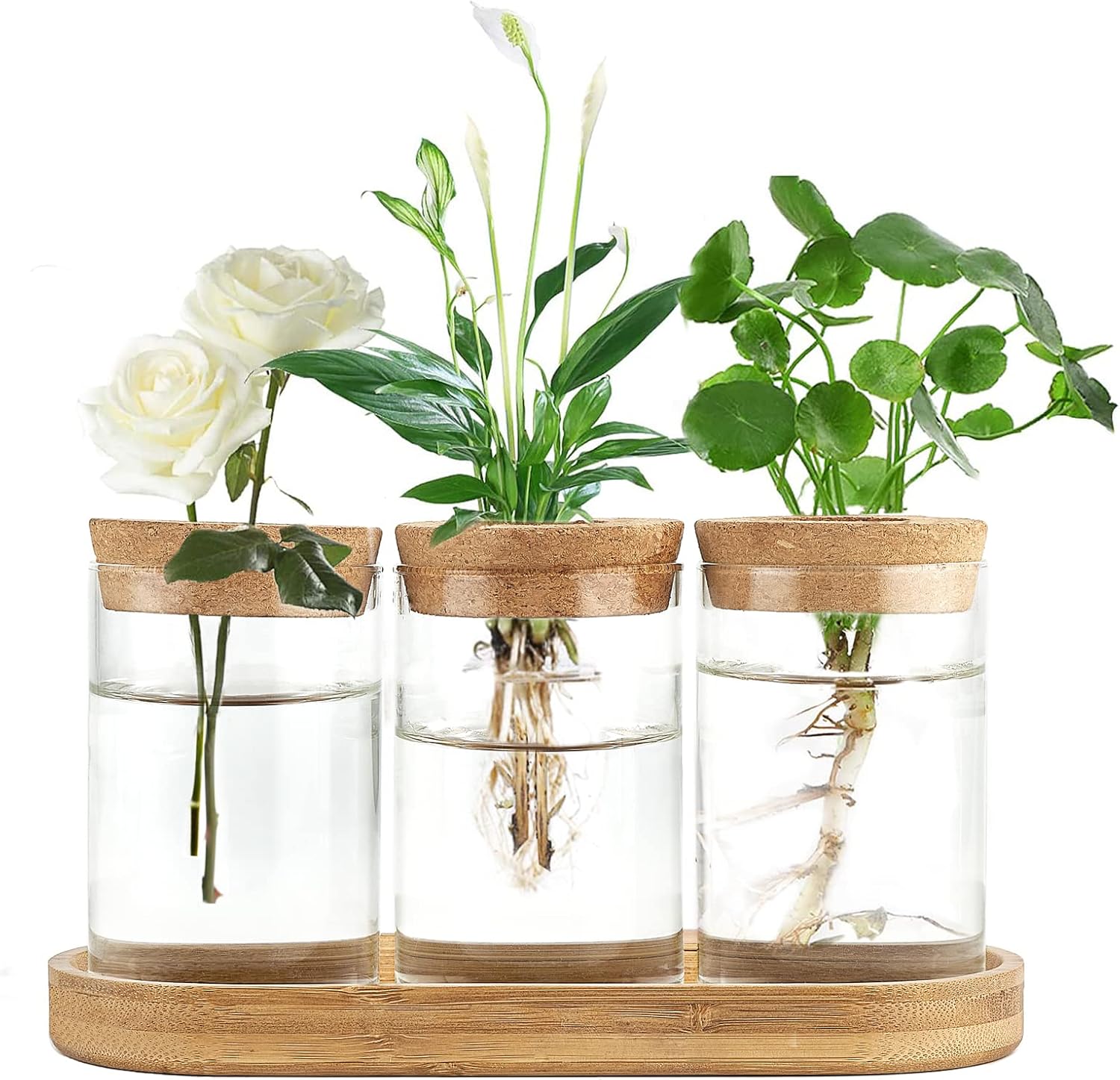 3 Pcs Glass Plant Propagation  - Propagation Station Vase ulasan dan harga
