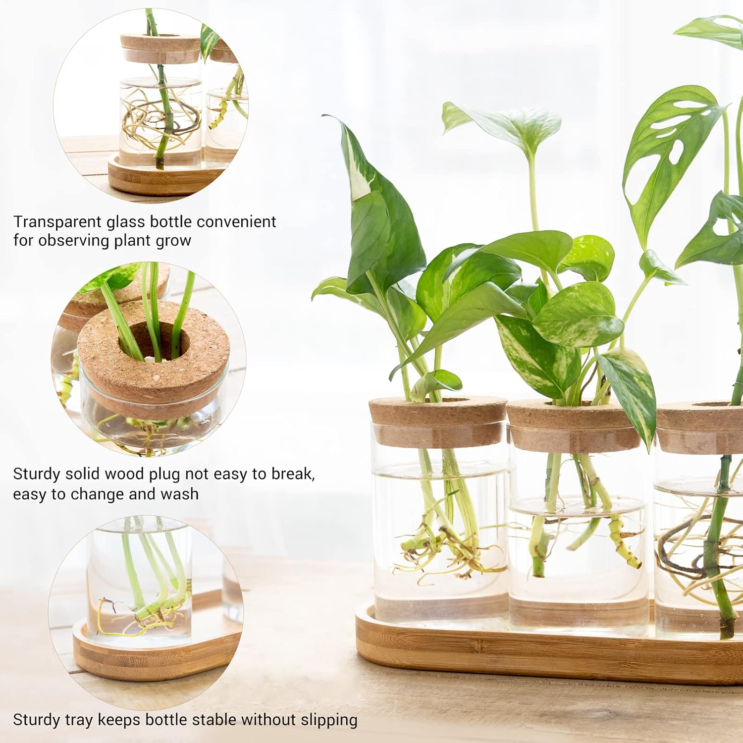 3 Pcs Glass Plant Propagation  - Propagation Station Vase ulasan dan harga