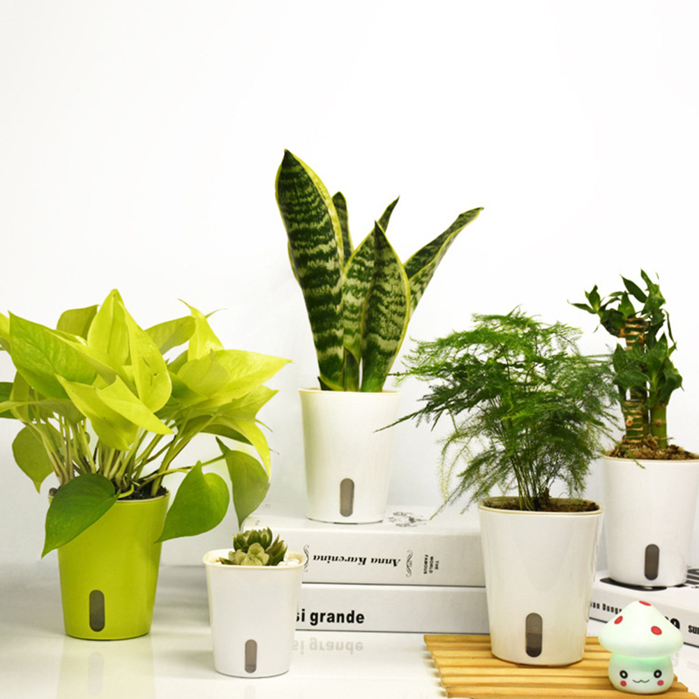 Self-Watering Planter 23Cm Whi - Self Watering Insert ulasan dan harga