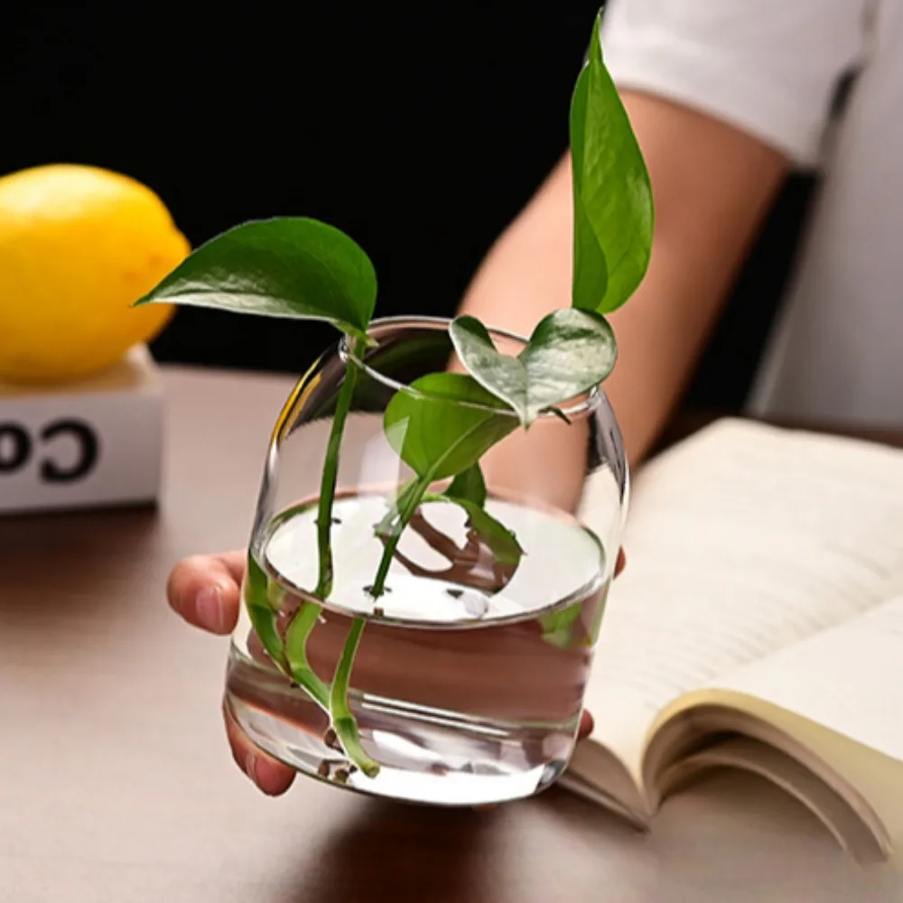 Creative Hydroponic Plant Glas - Propagation Station Vase ulasan dan harga