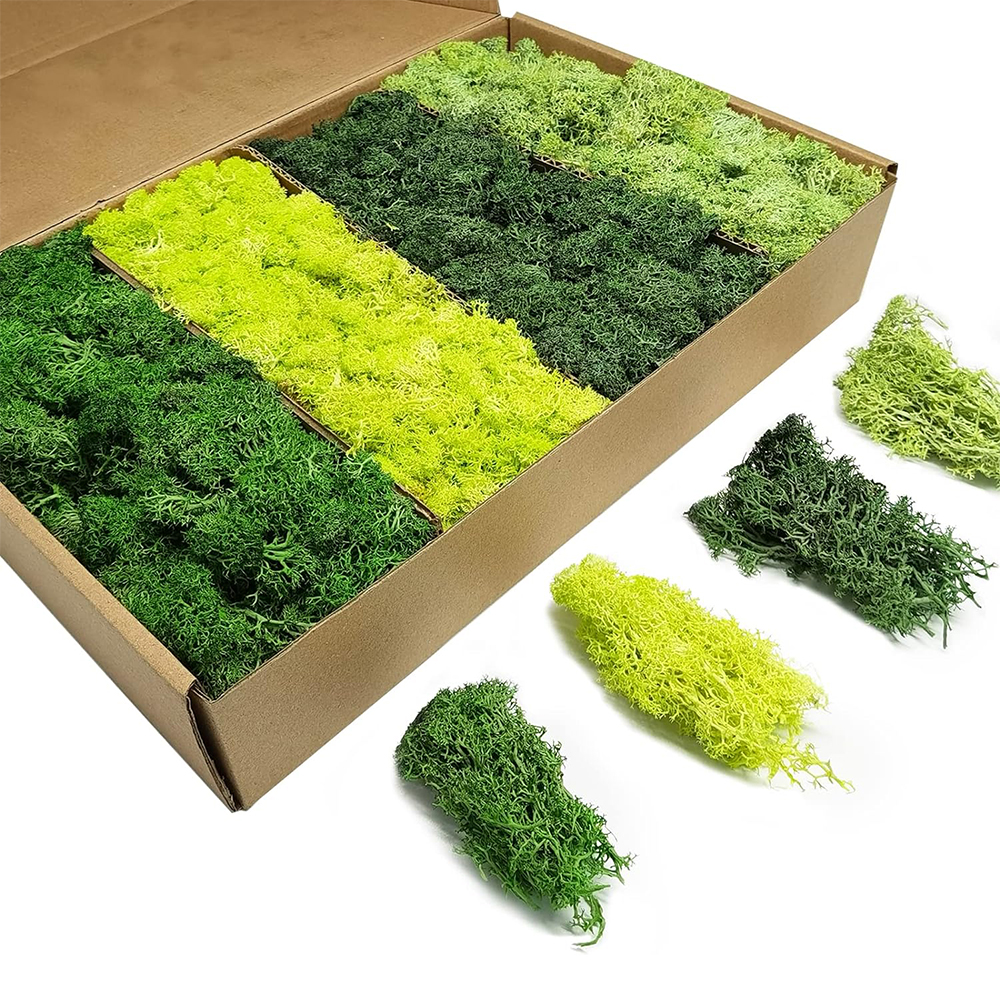 Artificial Green Plants Eterna - Sphagnum Moss Dry ulasan dan harga