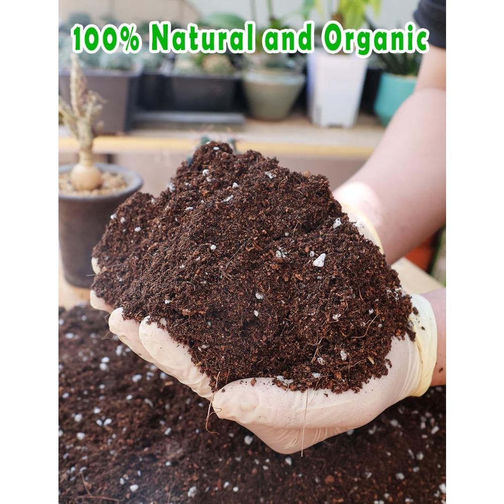 Potting Soil for All Indoor Ho - Coco Perlite Mix ulasan dan harga