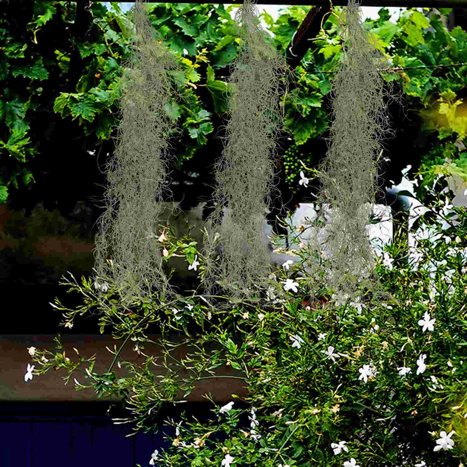 Hanging Decor Artificial Dried - Sphagnum Moss Dry ulasan dan harga