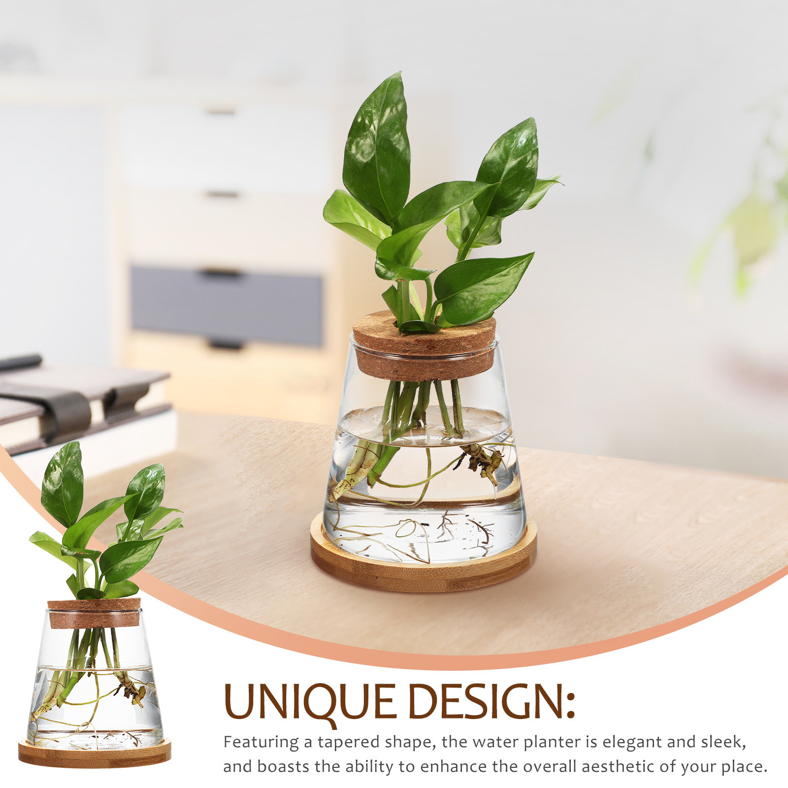2Pcs Hydroponic Plants Propaga - Propagation Station Vase ulasan dan harga