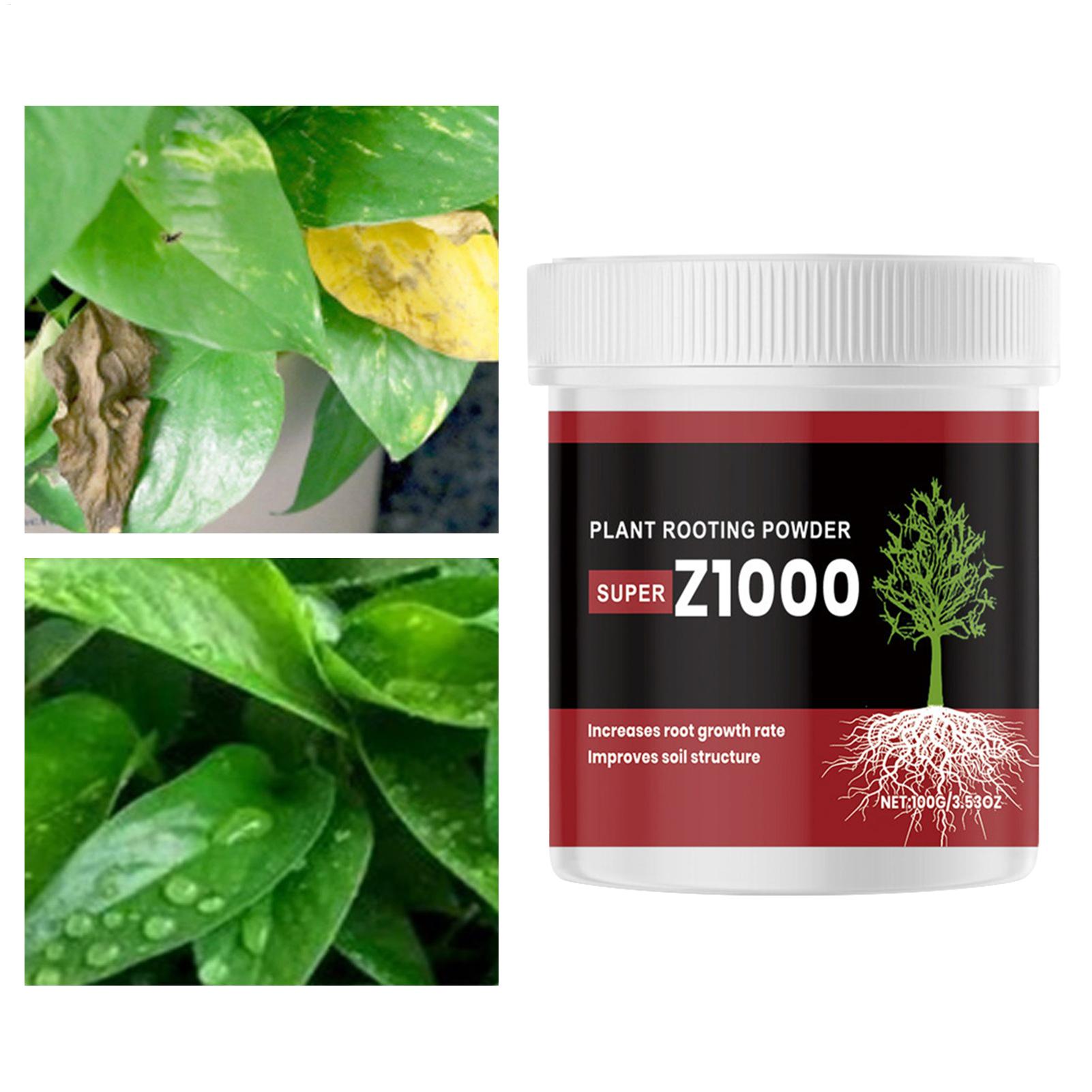 Plant rooting powder Powerful  - Rooting Hormone Powder ulasan dan harga