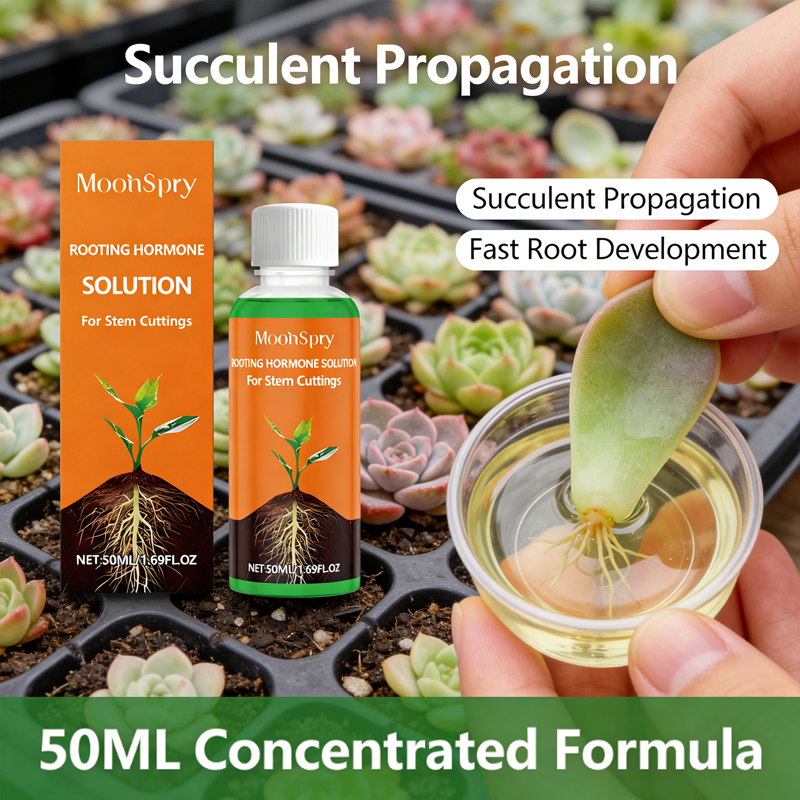 Plant Rooting Agent Effectivel - Root Stimulator Liquid ulasan dan harga