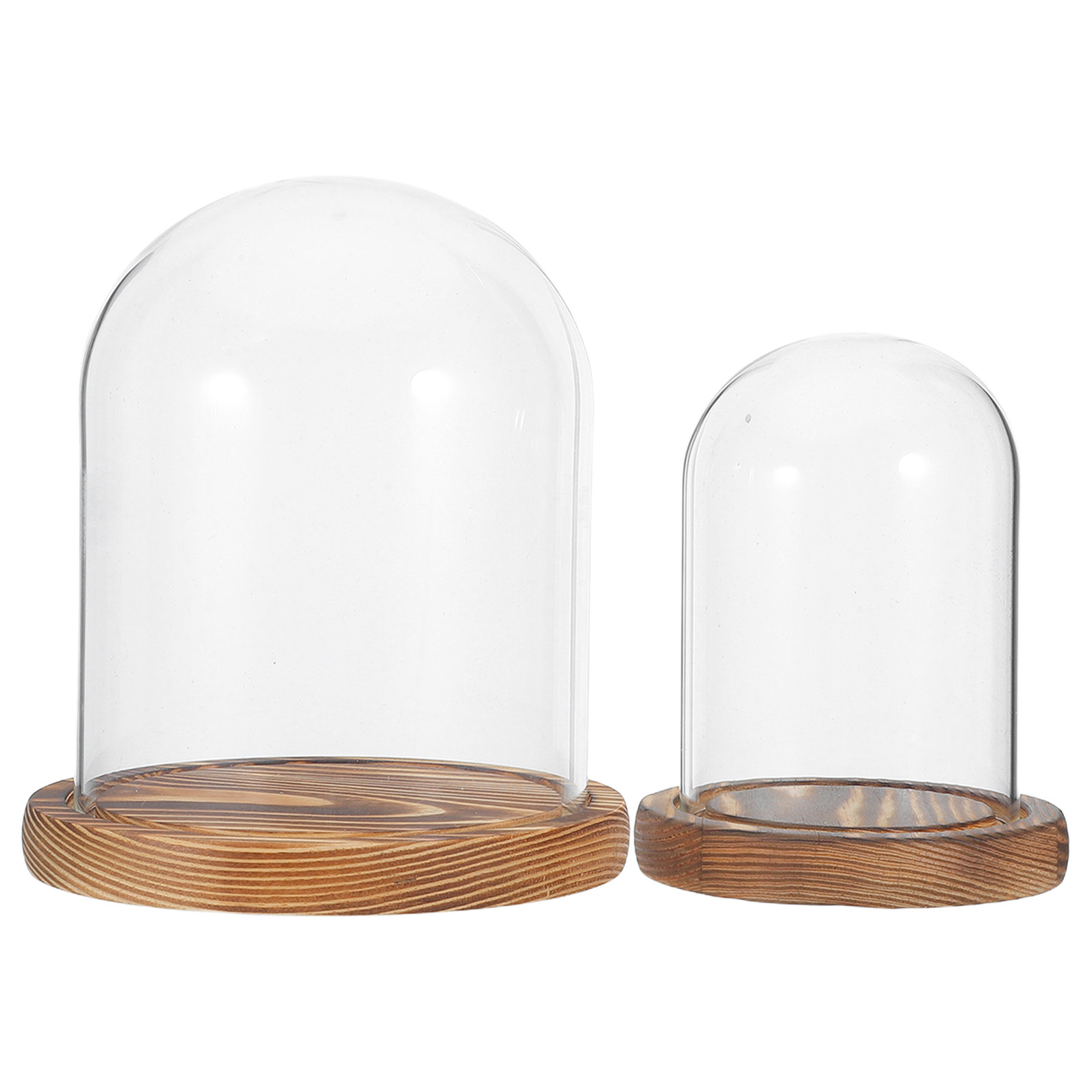2Sets Clear Glass Display Dome - Plastic Dome Clear ulasan dan harga