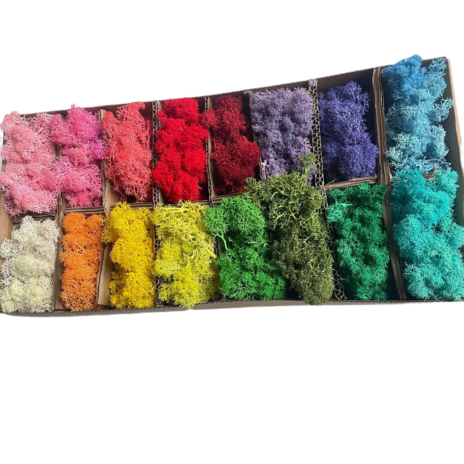 20-200g Artificial Green Plant - Sphagnum Moss Dry ulasan dan harga