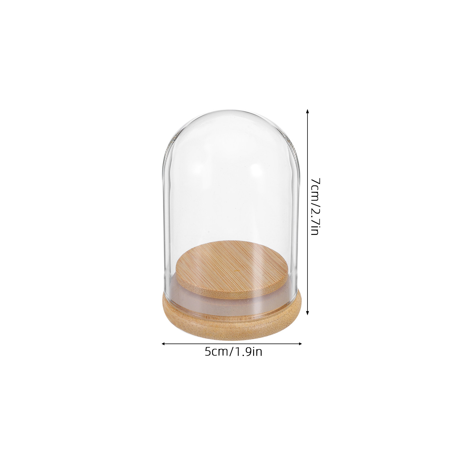 6Pcs Clear Glass Cloche Dome D - Plastic Dome Clear ulasan dan harga
