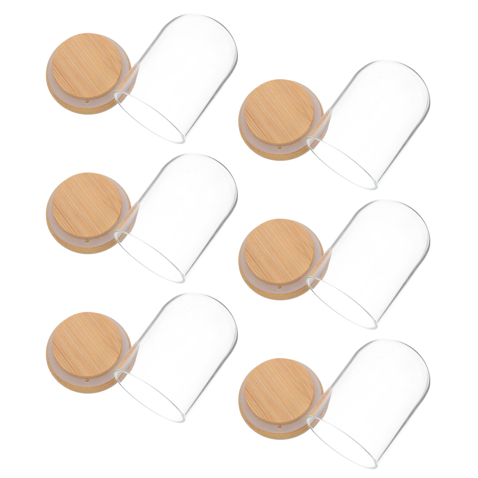 6Pcs Clear Glass Cloche Dome D - Plastic Dome Clear ulasan dan harga
