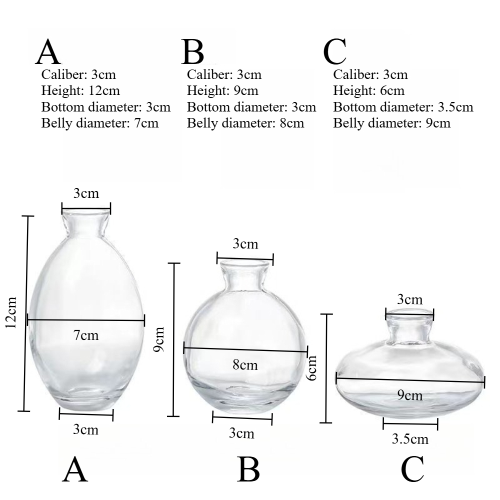 Nordic Transparent Glass Vase  - Propagation Station Vase ulasan dan harga