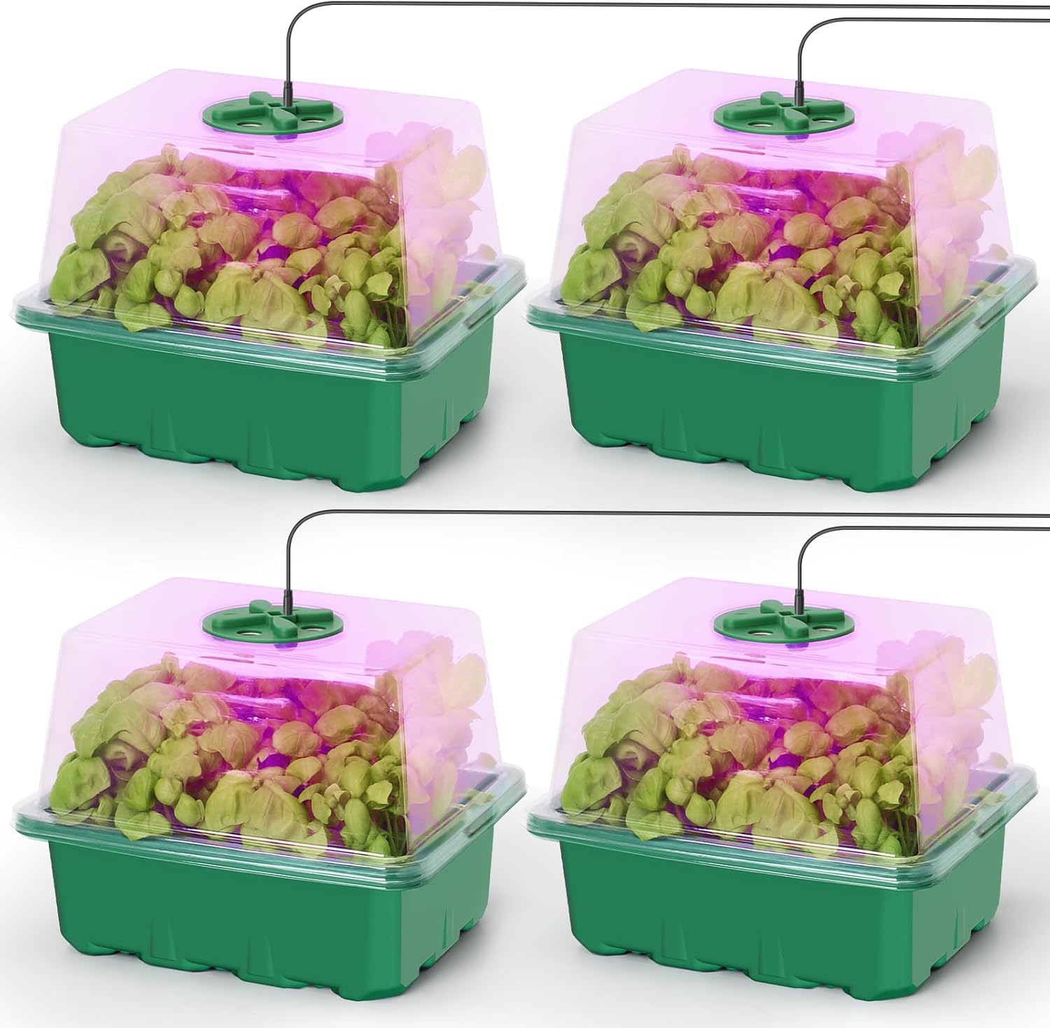 Seed Starter Kit with Grow Lig - Humidity Dome Kit ulasan dan harga