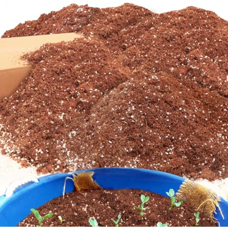 2 Mix for Indoor Plants - Cont - Coco Perlite Mix ulasan dan harga