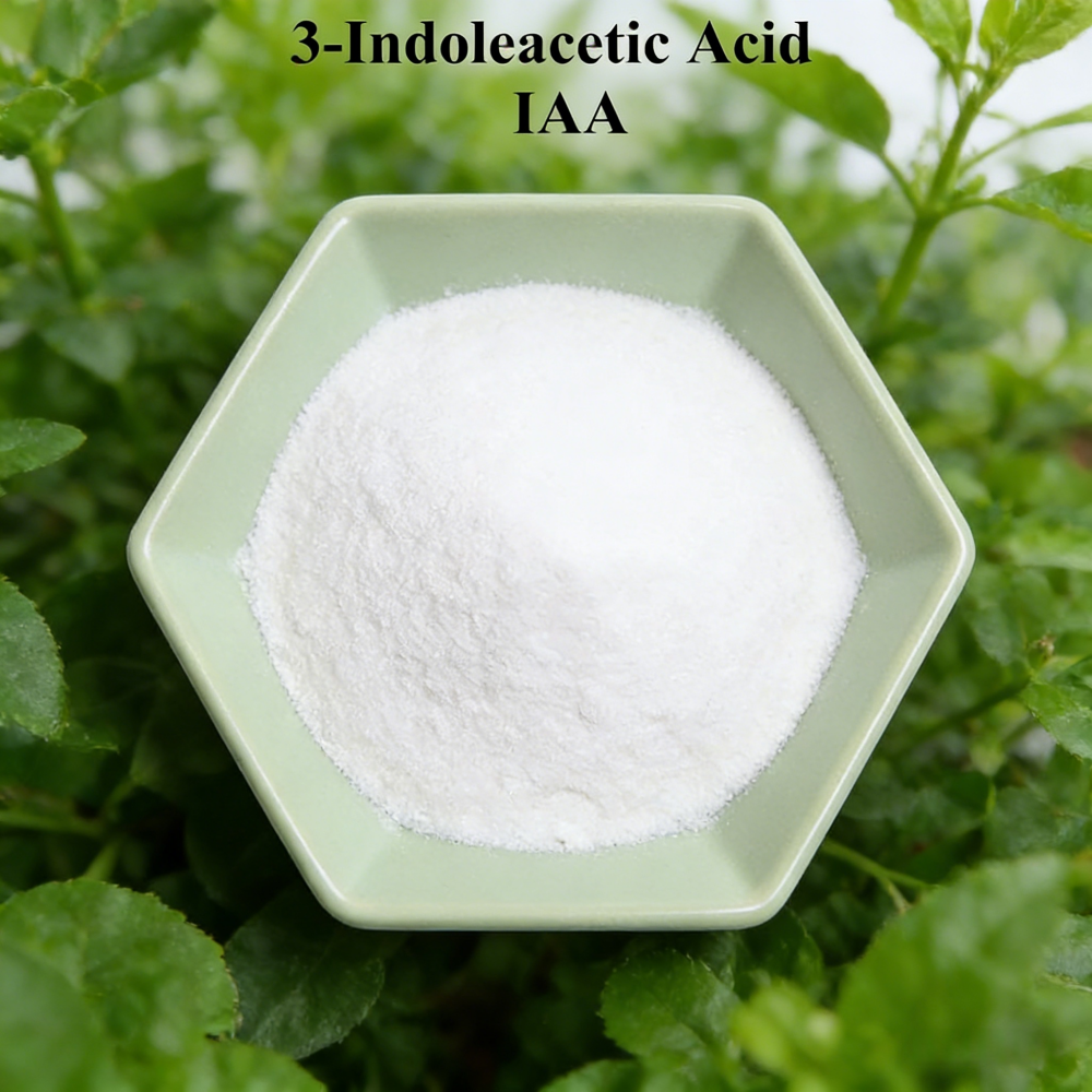 3-indoleacetic Acid IAA Auxina - Rooting Hormone Powder ulasan dan harga