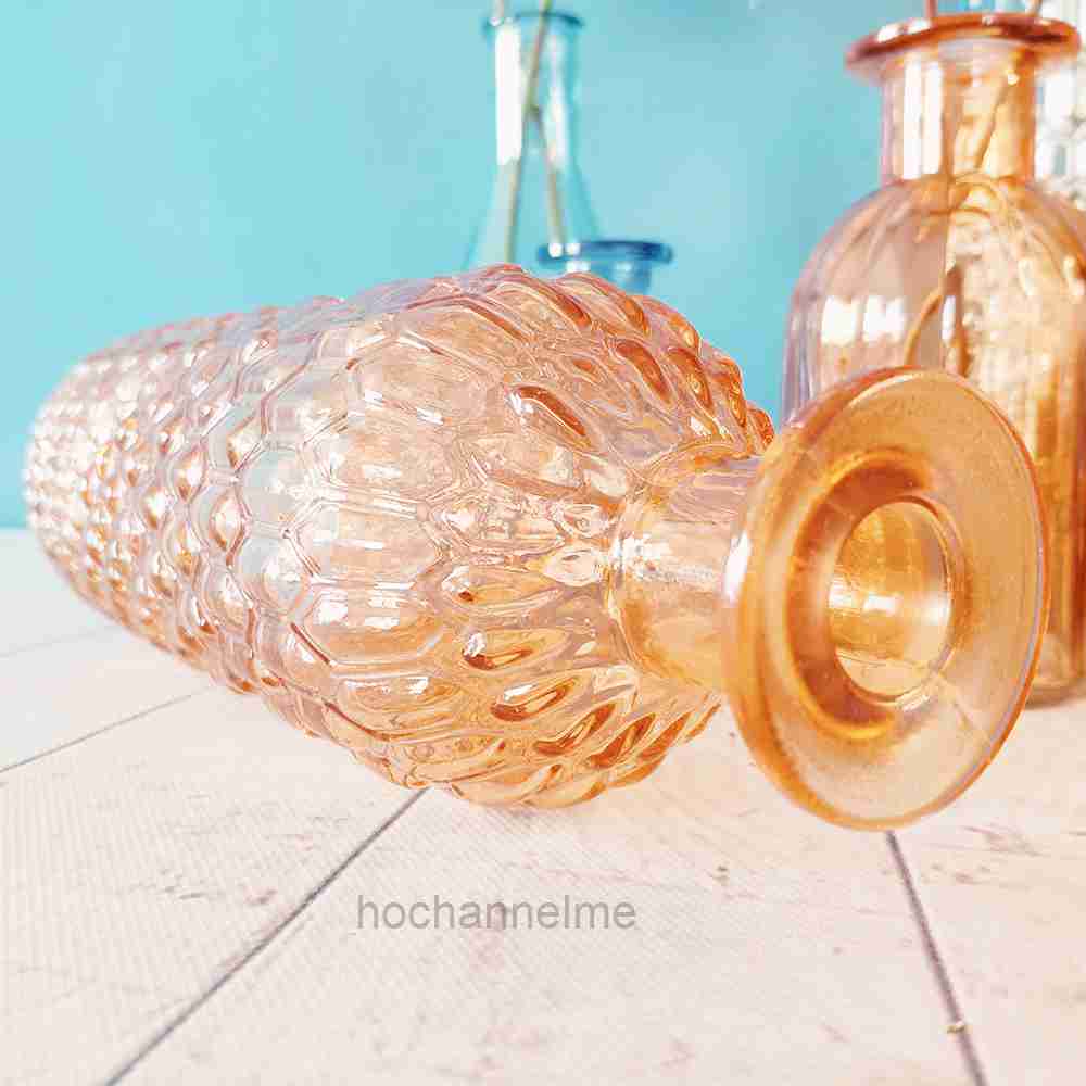 Glass Vase Living Room Decorat - Propagation Station Vase ulasan dan harga