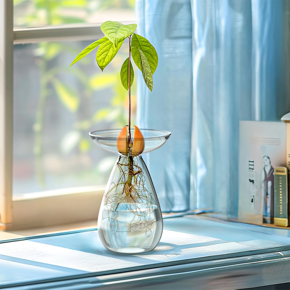 Avocado Seed Starter Vase Tran - Propagation Station Vase ulasan dan harga