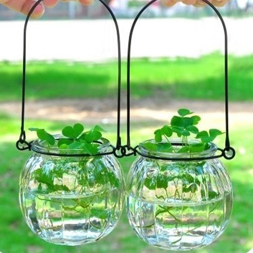 6Pcs Clear Glass Wall Planters - Propagation Station Vase ulasan dan harga