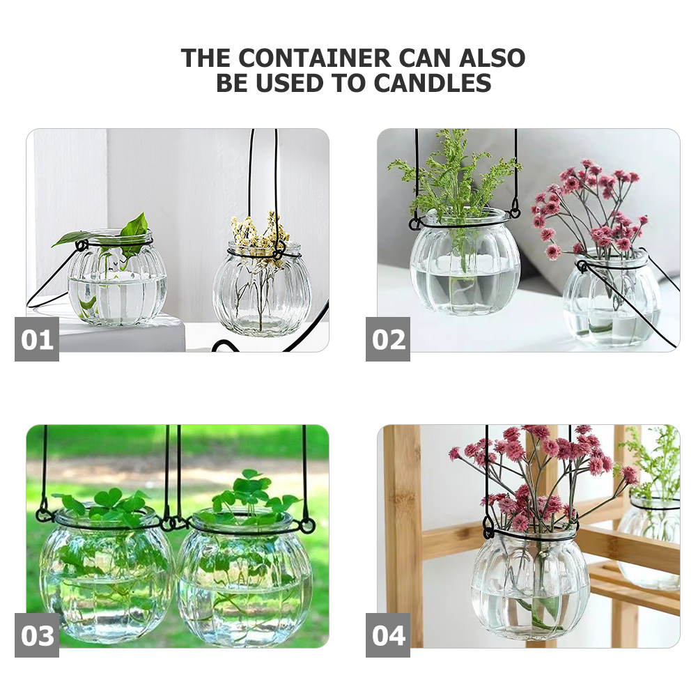 6Pcs Clear Glass Wall Planters - Propagation Station Vase ulasan dan harga