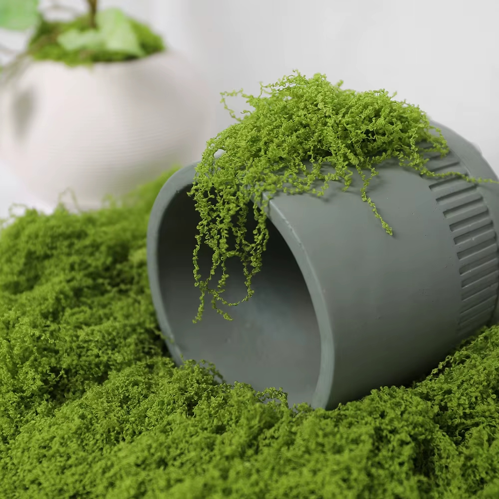 30/100g Artificial Green Plant - Sphagnum Moss Dry ulasan dan harga