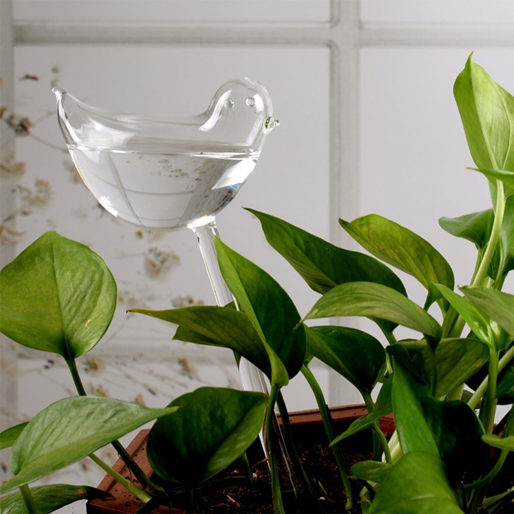 Automatic Plant Watering Bulbs - Self Watering Insert ulasan dan harga