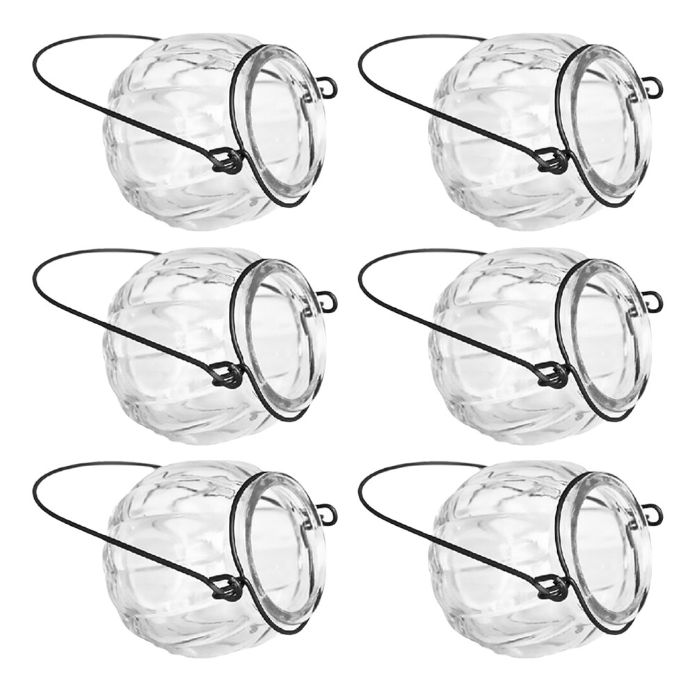 6Pcs Clear Glass Hanging Wall  - Propagation Station Vase ulasan dan harga