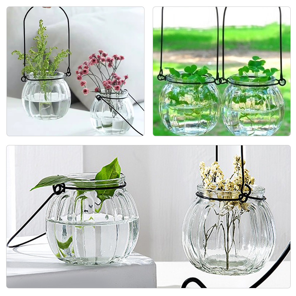 6Pcs Clear Glass Hanging Wall  - Propagation Station Vase ulasan dan harga