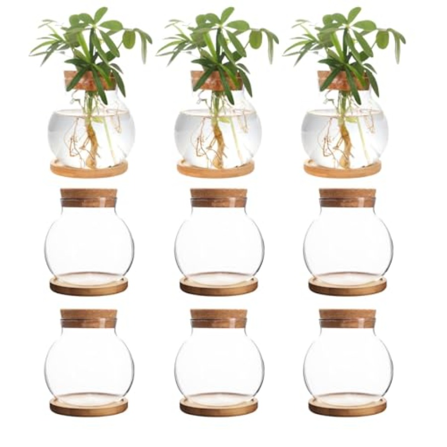 Plant Propagation Station, Hyd - Propagation Station Vase ulasan dan harga