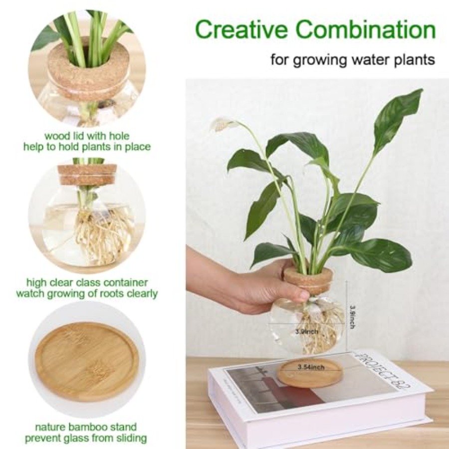 Plant Propagation Station, Hyd - Propagation Station Vase ulasan dan harga