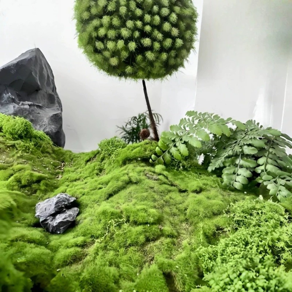 DIY Artificial Grass Rug Durab - Sphagnum Moss Dry ulasan dan harga