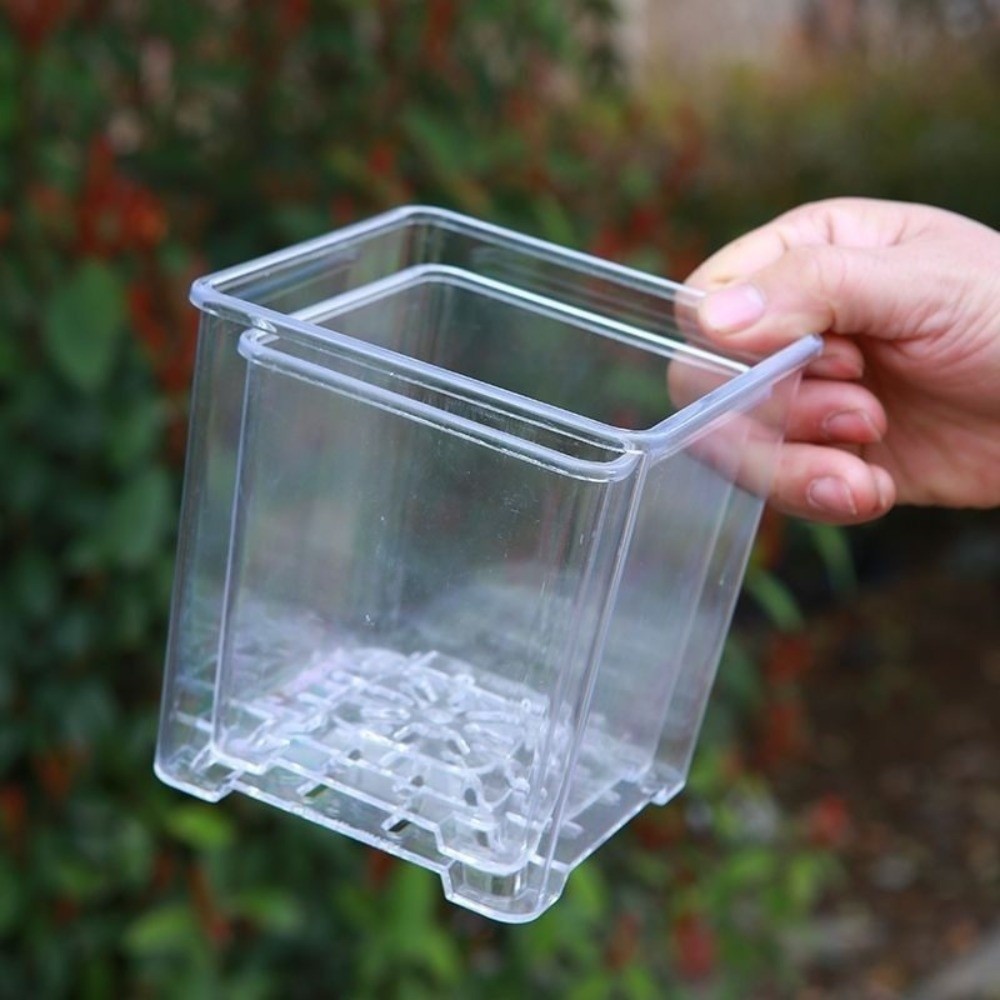 Transparent Material Acrylic P - Self Watering Insert ulasan dan harga