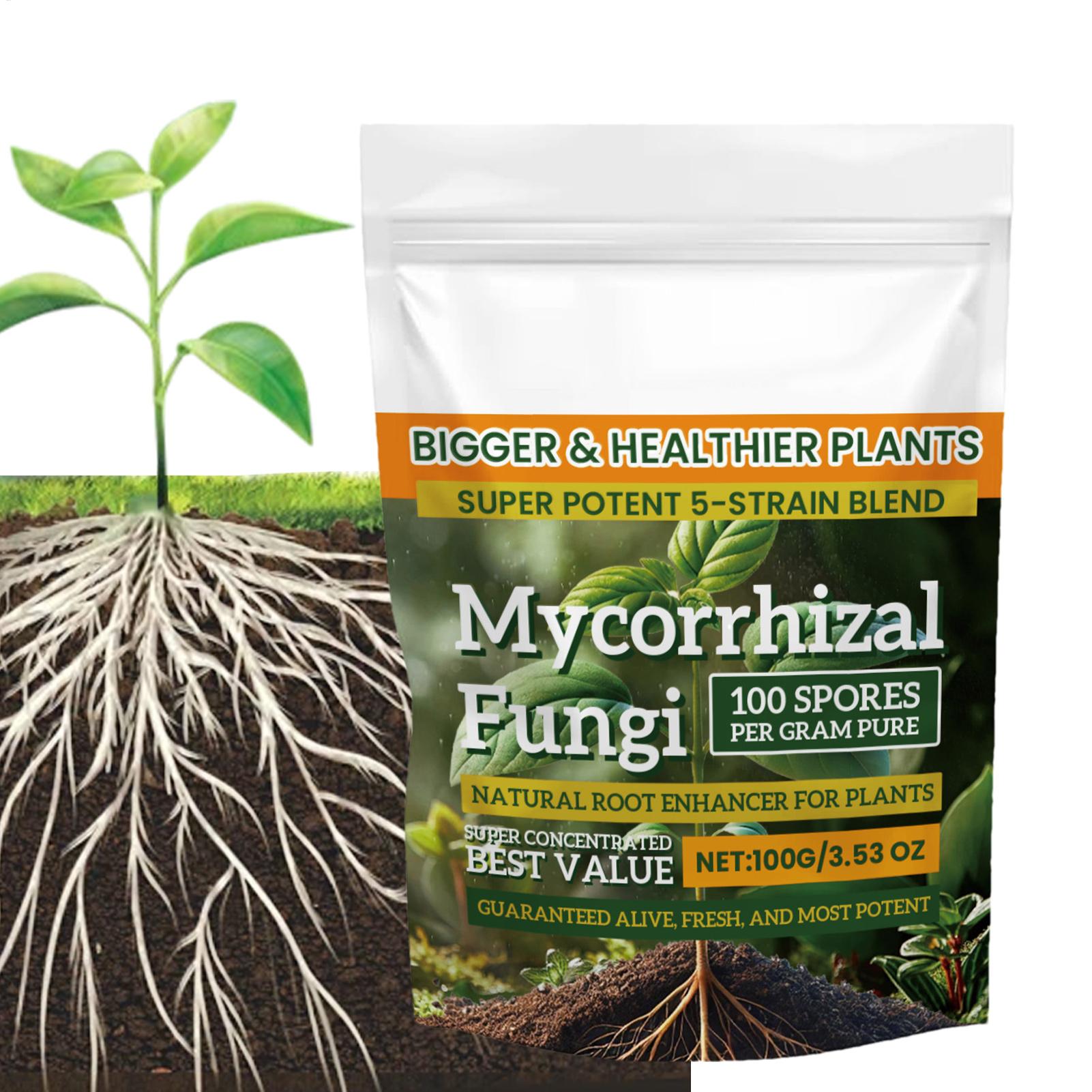Natural Plants Root Enhancer P - Rooting Hormone Powder ulasan dan harga