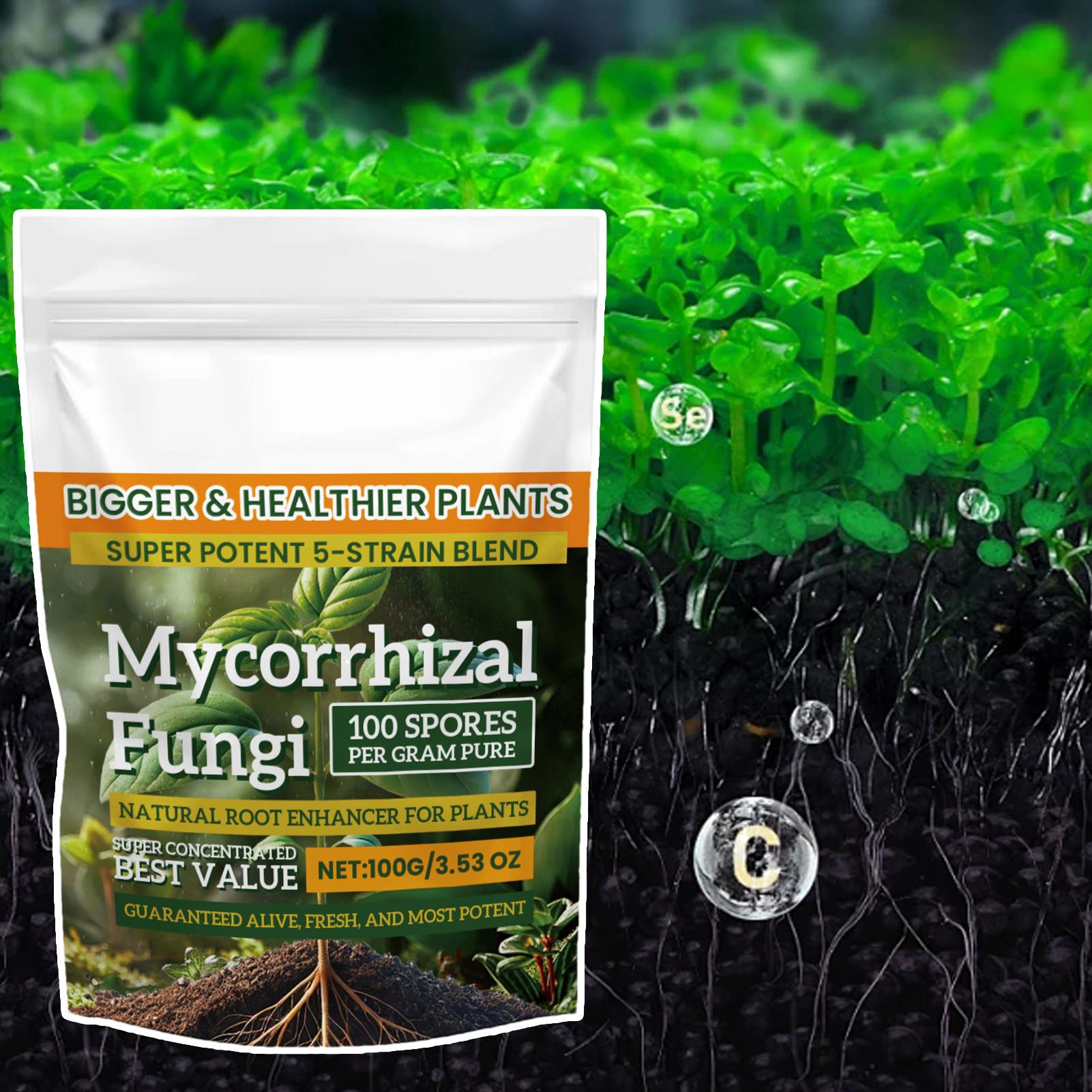 Natural Plants Root Enhancer P - Rooting Hormone Powder ulasan dan harga