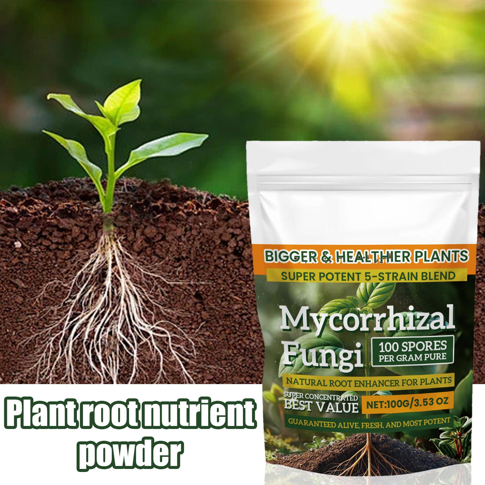 Natural Plants Root Enhancer P - Rooting Hormone Powder ulasan dan harga