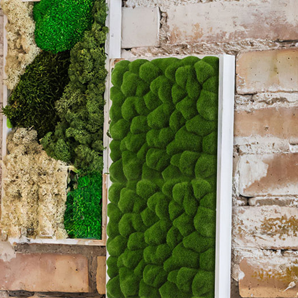 2Pcs Simulation Moss Decor Art - Sphagnum Moss Dry ulasan dan harga
