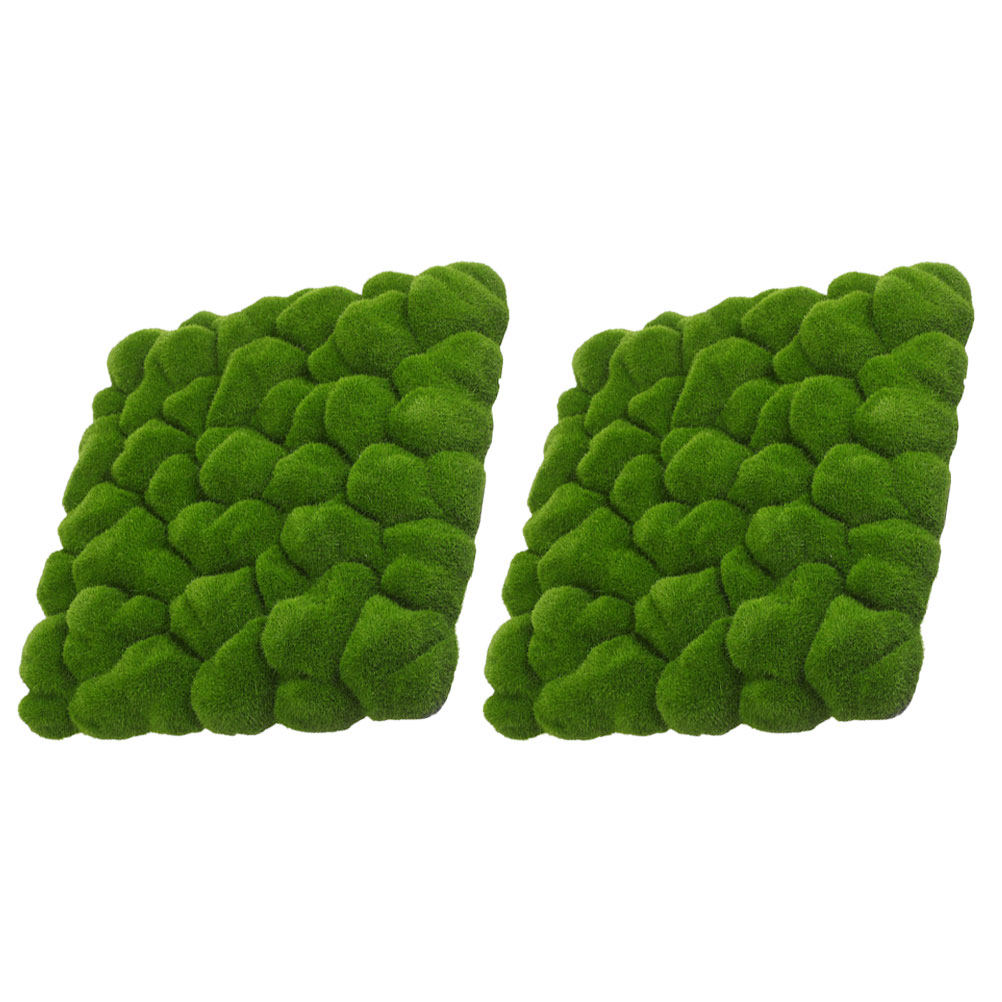 2Pcs Simulation Moss Decor Art - Sphagnum Moss Dry ulasan dan harga